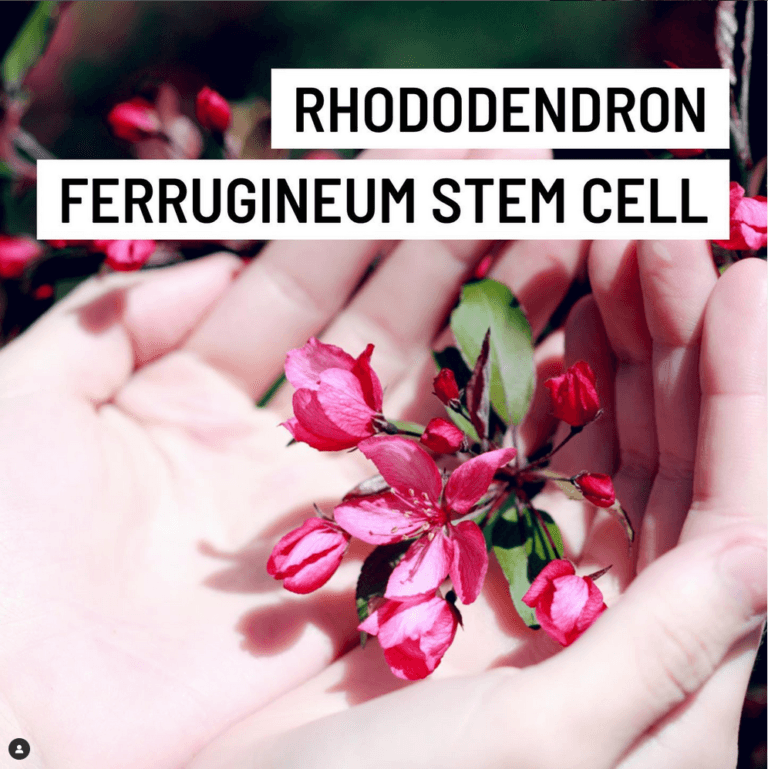 Screenshot 2024-10-23 at 9.53.19 AM